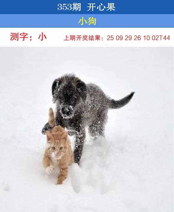 353期开心果[图]