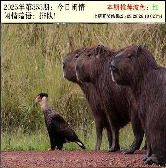 353期今日闲情2[图]