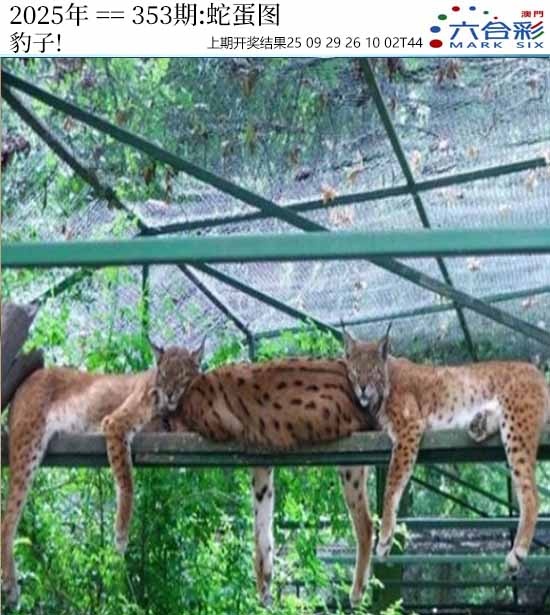 353期正版蛇蛋图[图]