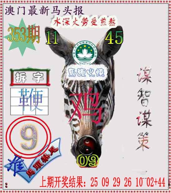 353期马头报[图]