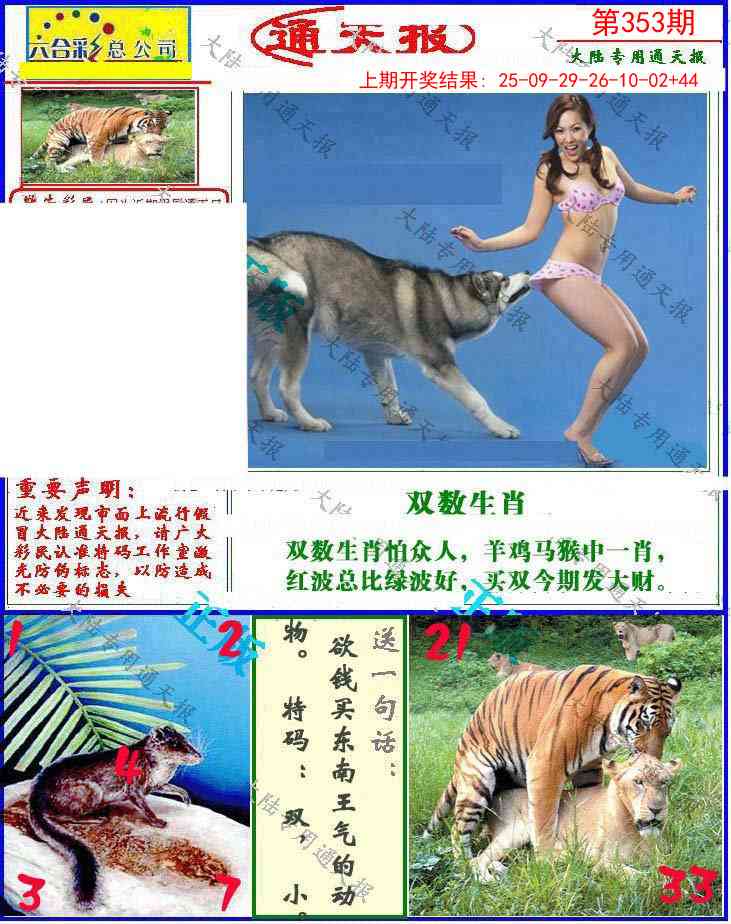 353期大陆通天报[图]