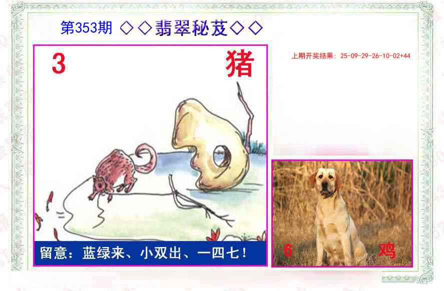 353期翡翠报[图]