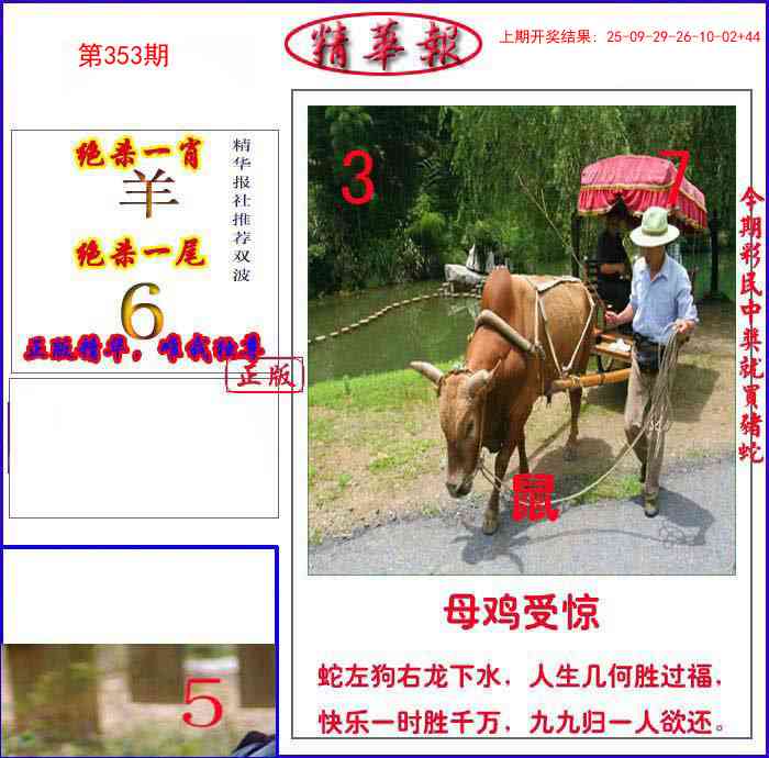 353期新精华报报[图]