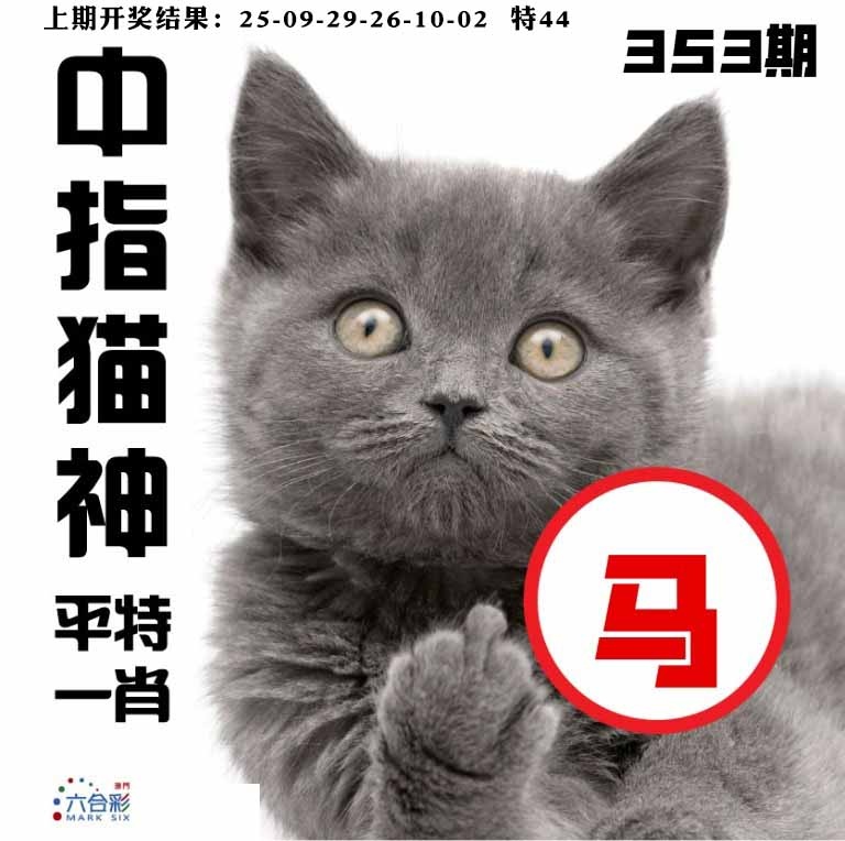 353期中指猫神[图]